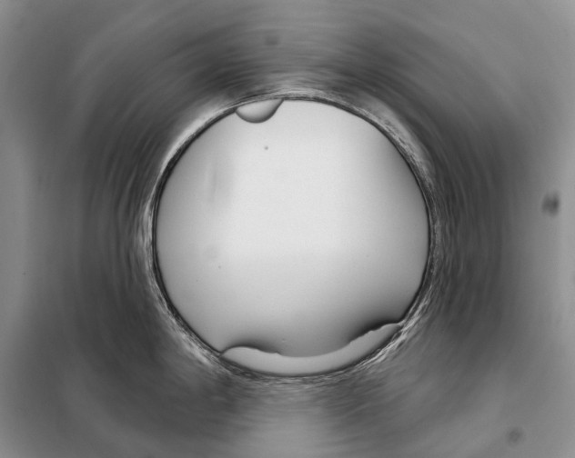 X0000098091198200805021038