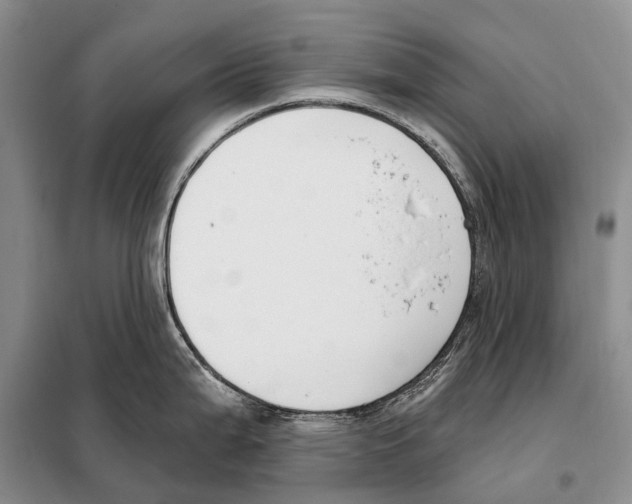 X0000098091199200805021038