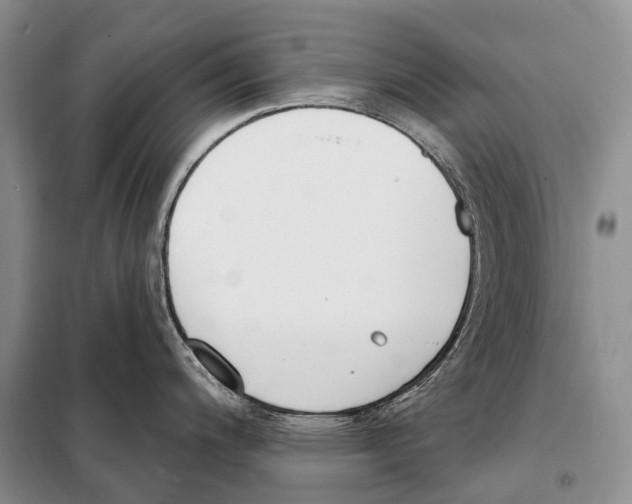 X0000098091200200805021038