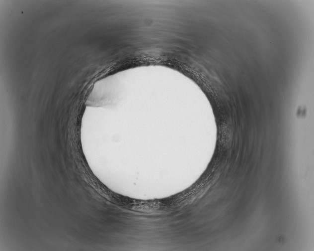 X0000098091201200805021037