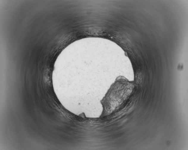 X0000098091202200805021037