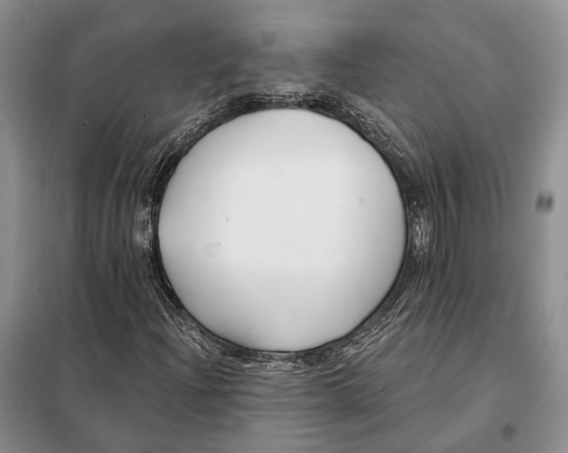 X0000098091204200805021037