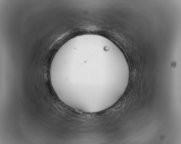 X0000098091205200805021037