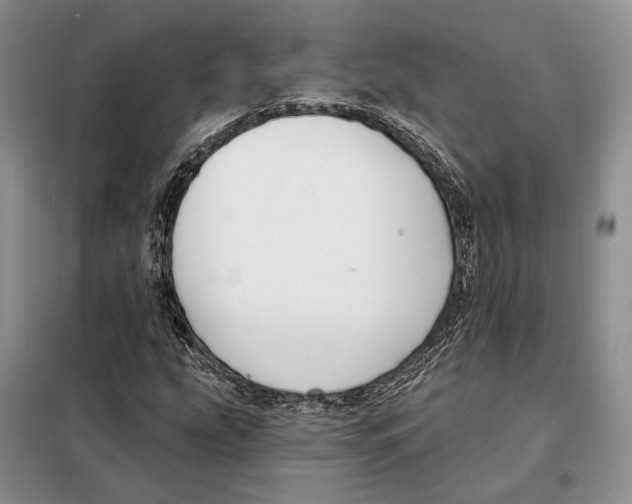 X0000098091207200805021037