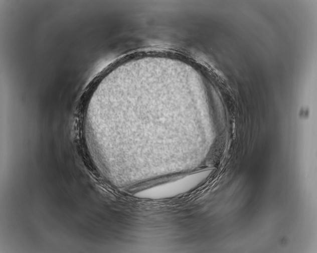 X0000098091208200805021037