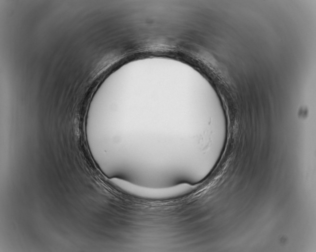 X0000098091209200805021038