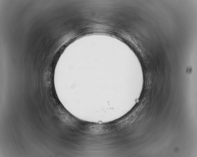 X0000098091211200805021038