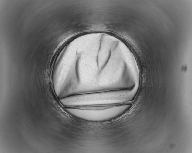 X0000098091212200805021038