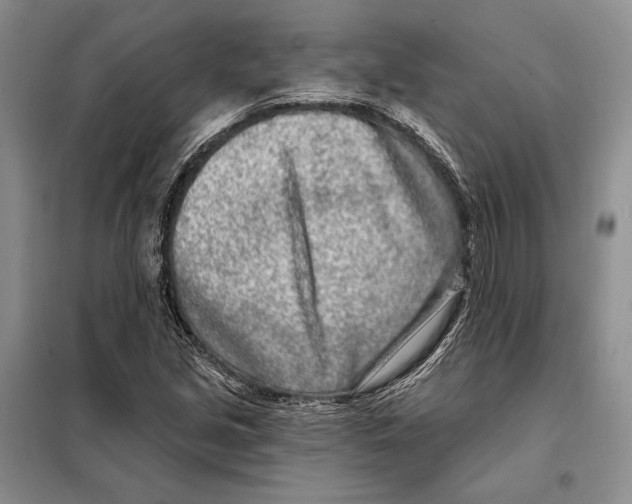 X0000098091213200805021038