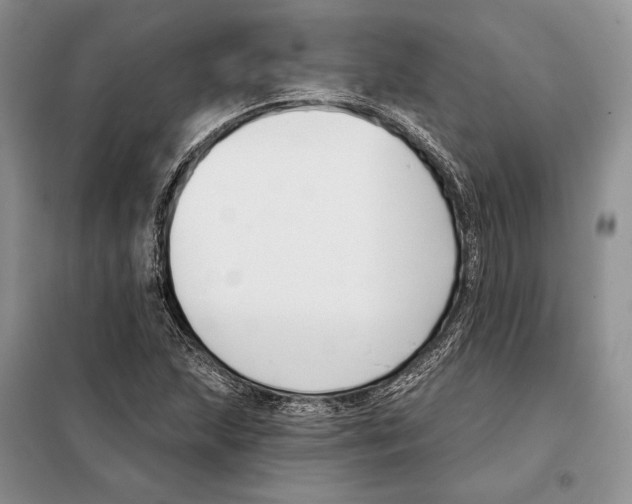 X0000098091215200805021038