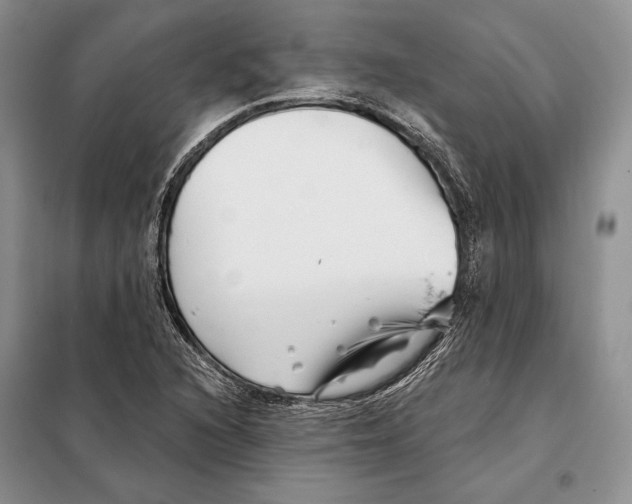 X0000098091216200805021038