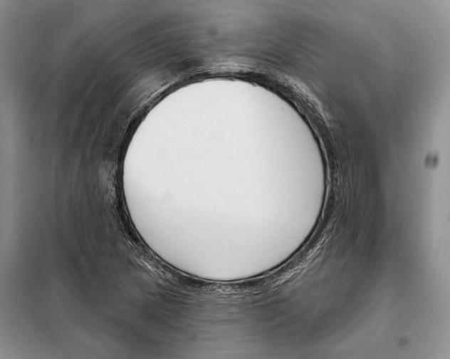 X0000098091217200805021038