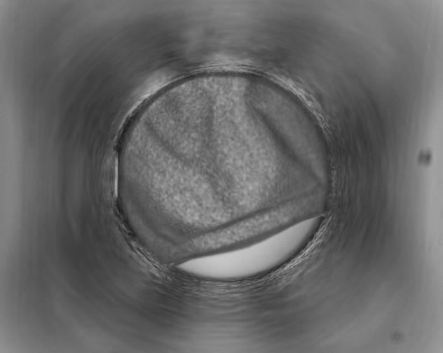 X0000098091219200805021038