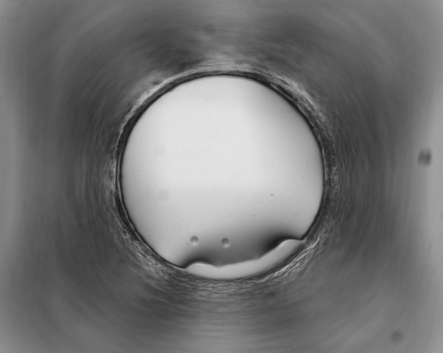 X0000098091220200805021038