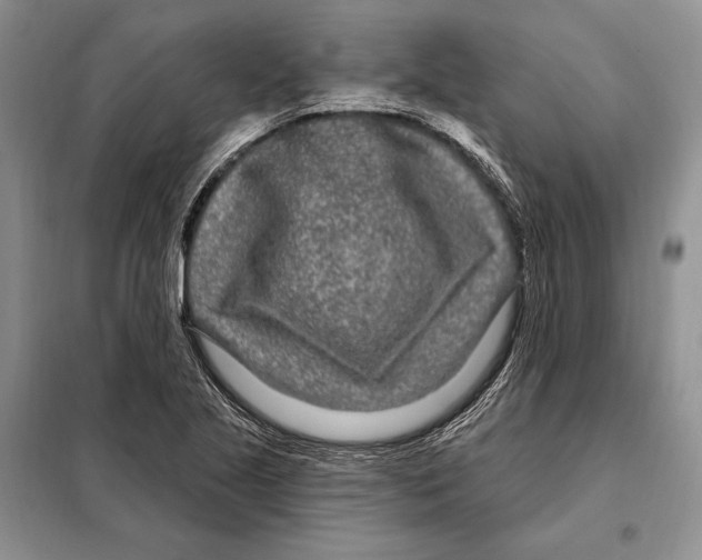 X0000098091221200805021038