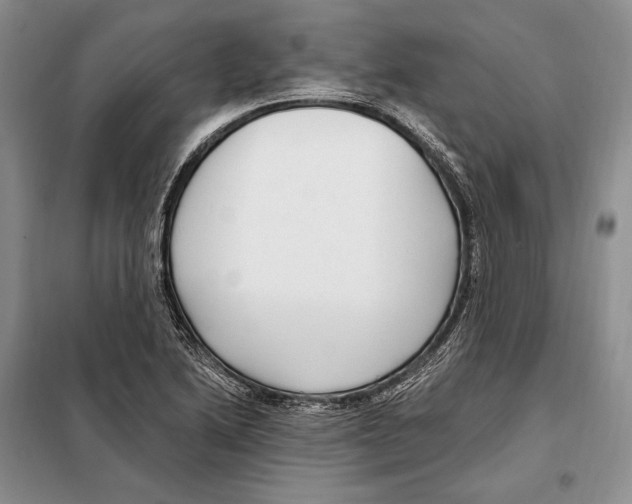 X0000098091222200805021038