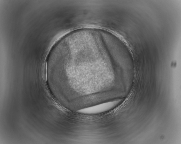 X0000098091223200805021038