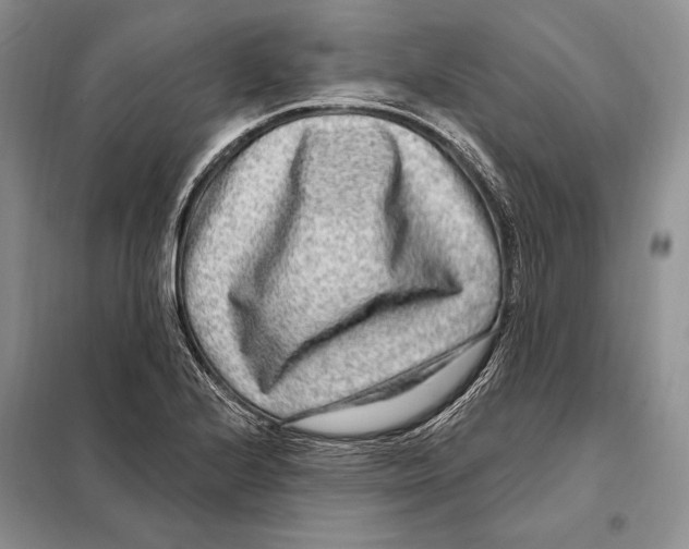 X0000098091224200805021038