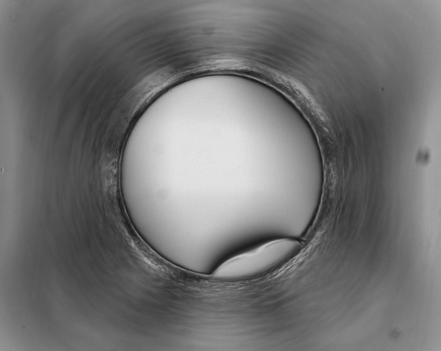 X0000098091225200805021038