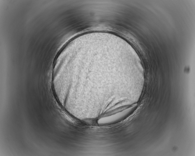 X0000098091228200805021038