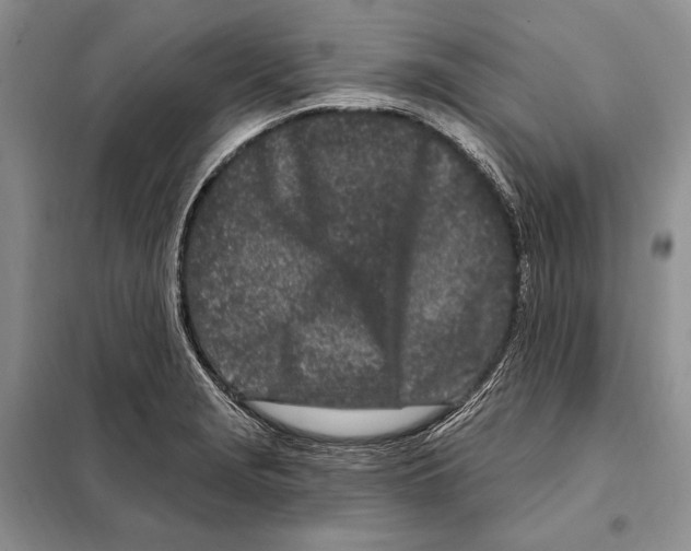 X0000098091229200805021038