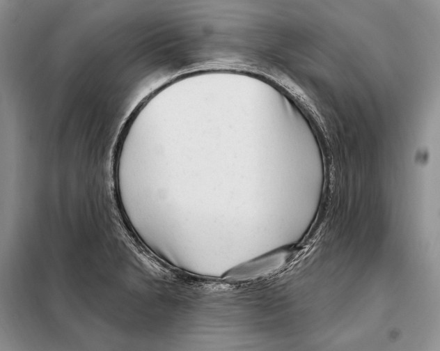 X0000098091230200805021038