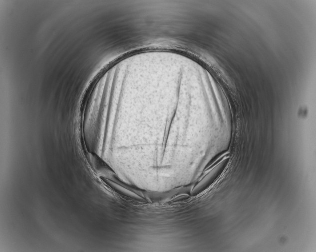 X0000098091232200805021038