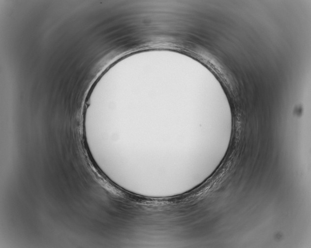 X0000098091236200805021038