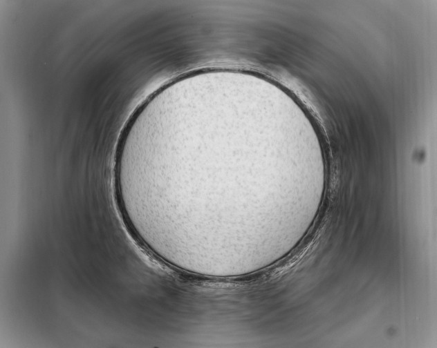 X0000098091237200805021038