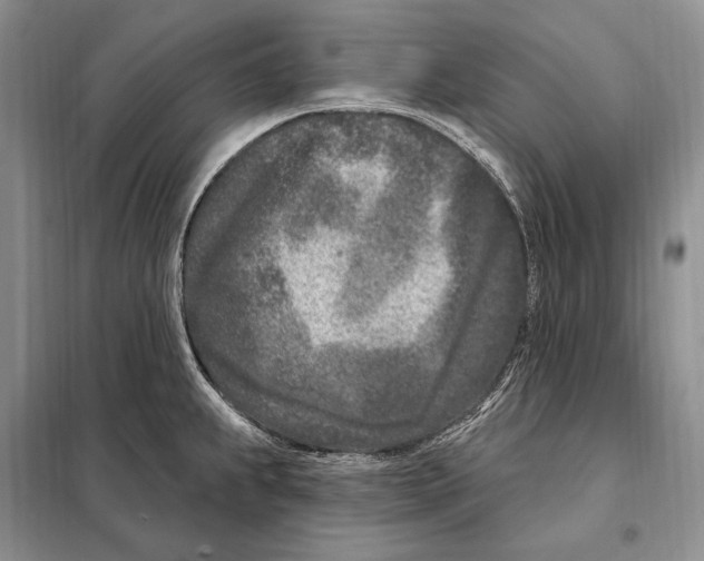 X0000098091239200805021038