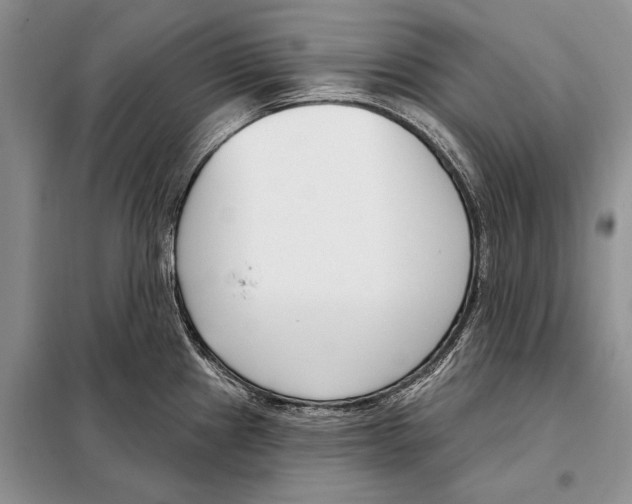 X0000098091241200805021038