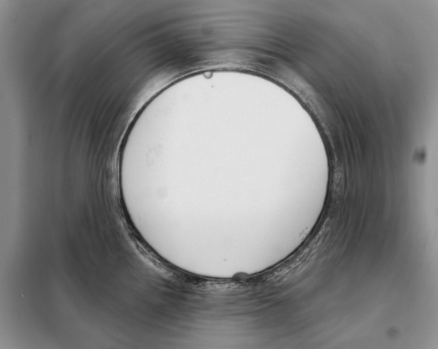 X0000098091242200805021038