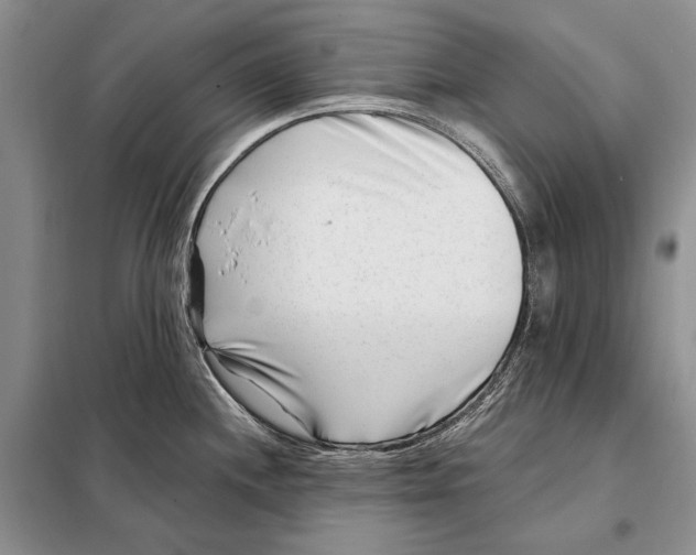 X0000098091244200805021038