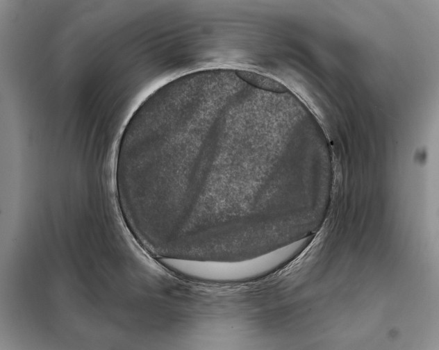 X0000098091246200805021038