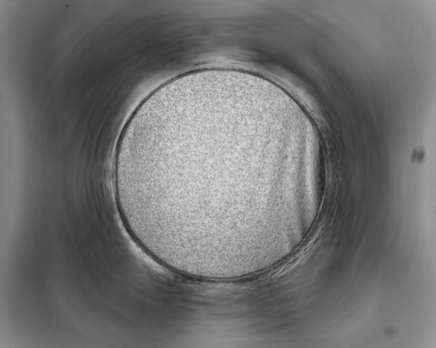 X0000098091247200805021038