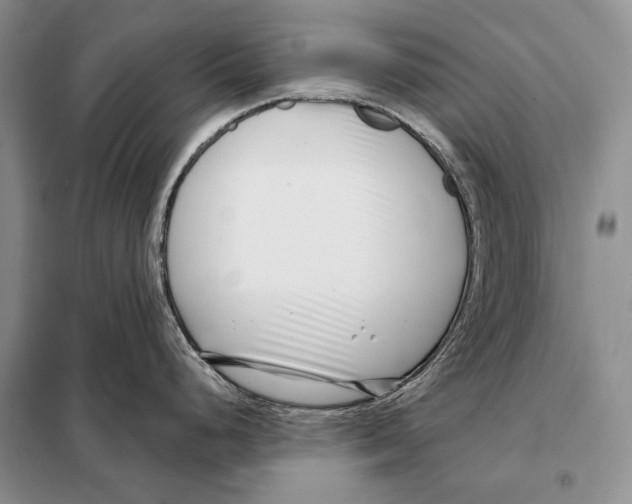 X0000098091248200805021038