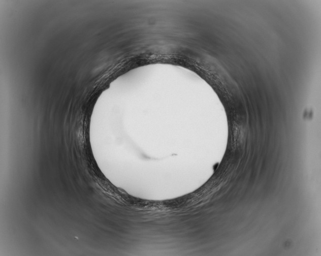 X0000098091250200805021037