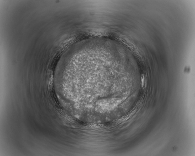 X0000098091251200805021037