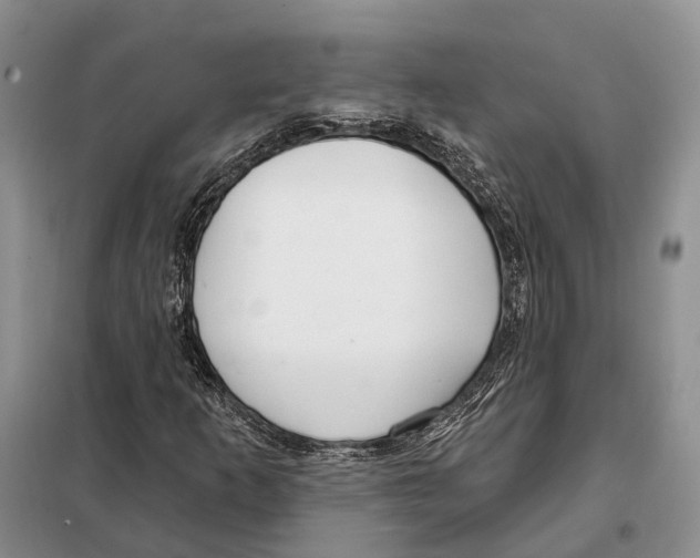 X0000098091253200805021037