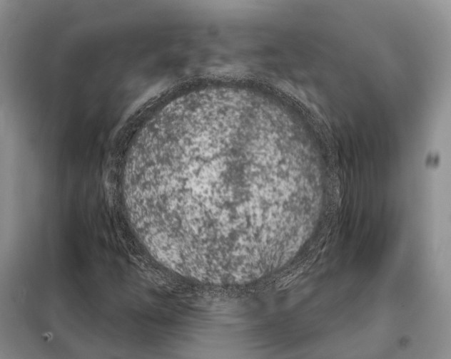 X0000098091254200805021037