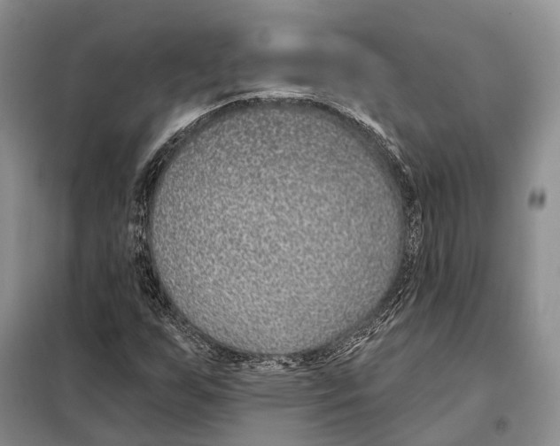 X0000098091255200805021037