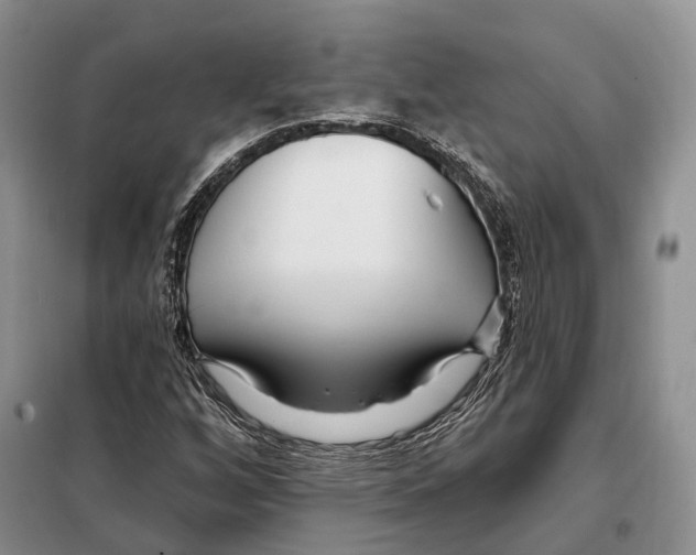 X0000098091256200805021037