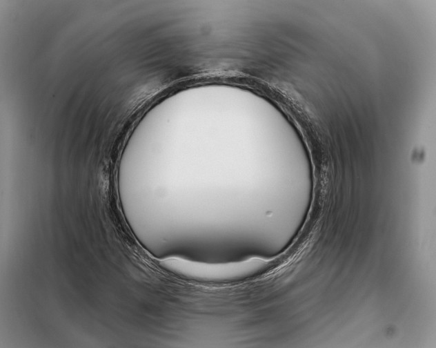 X0000098091257200805021037