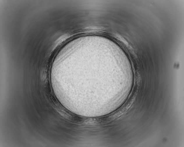 X0000098091259200805021037