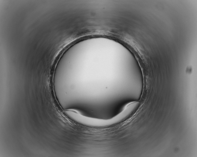 X0000098091260200805021037