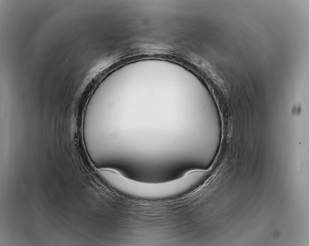 X0000098091261200805021037