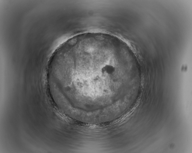 X0000098091263200805021037