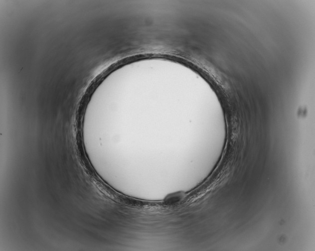 X0000098091264200805021037