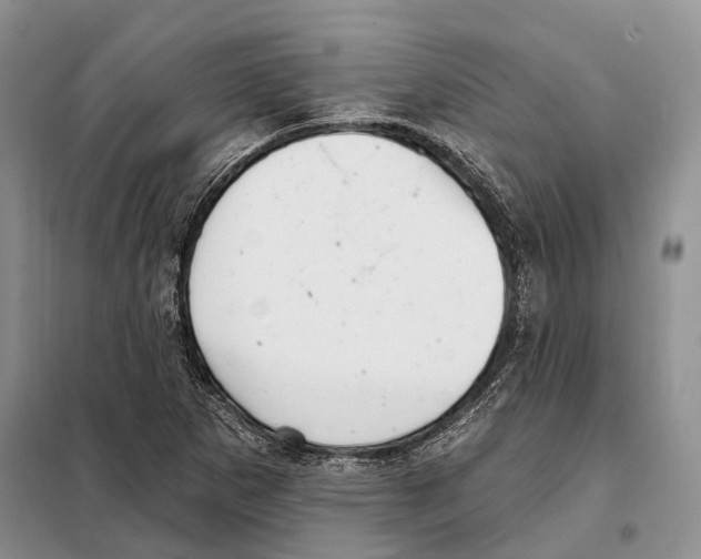 X0000098091265200805021037