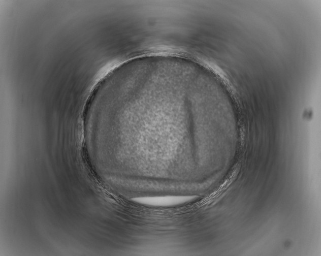 X0000098091267200805021037